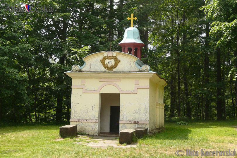 فيلا Chata Pod Tolstejnem Jiřetín pod Jedlovou المظهر الخارجي الصورة
